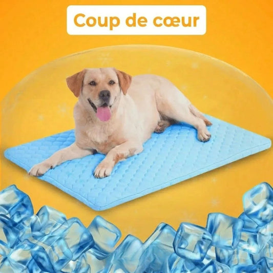 CoolPat™ – Tapis Rafraîchissant Premium pour Chien & Chat