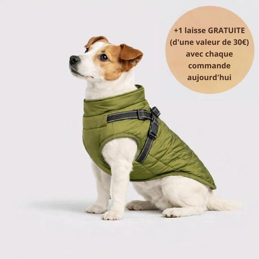 Veste Noddak™ imperméable pour chien