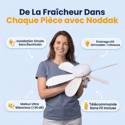 Ventilateur de Plafond