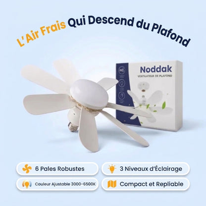Ventilateur de Plafond
