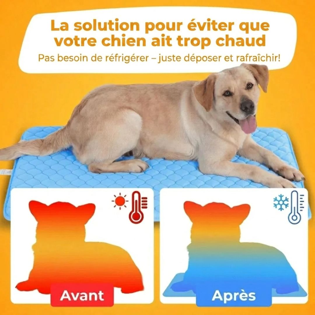 Tapis Rafraîchissant Premium pour Chien & Chat – Confort Frais Instantané