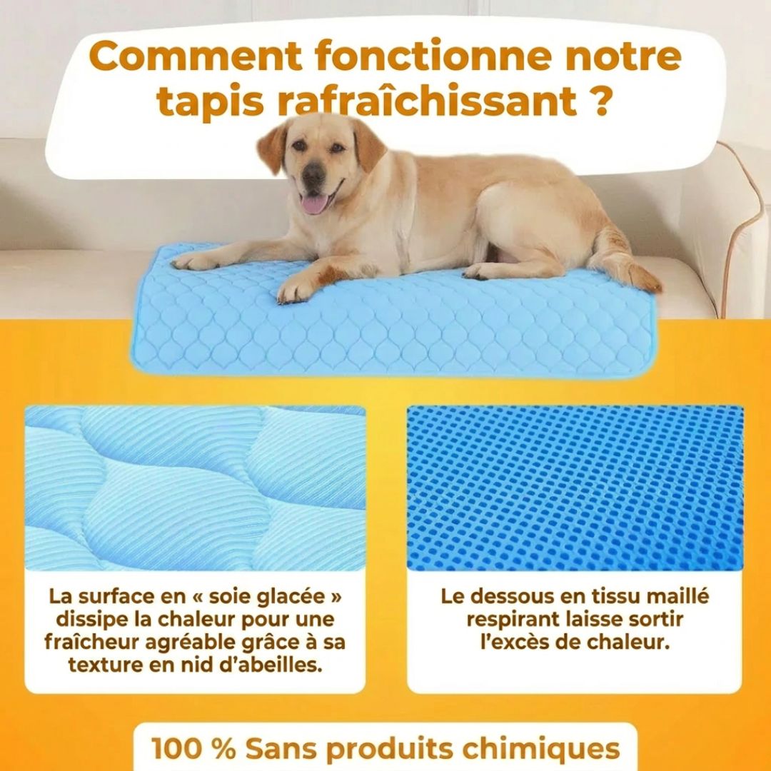 Tapis Rafraîchissant Premium pour Chien & Chat – Confort Frais Instantané