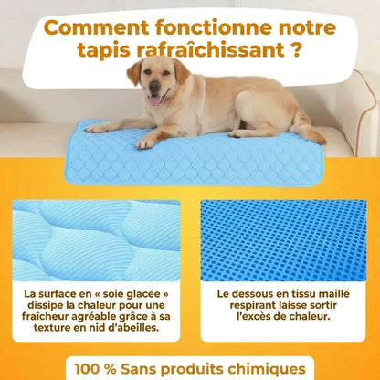 Tapis Rafraîchissant Premium pour Chien & Chat – Confort Frais Instantané