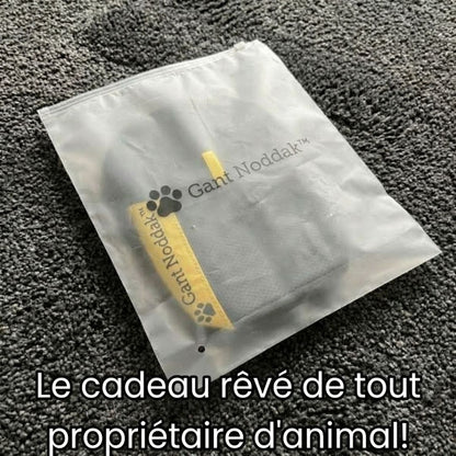 Gant Noddak Nettoyant Anti-Poils Réutilisable