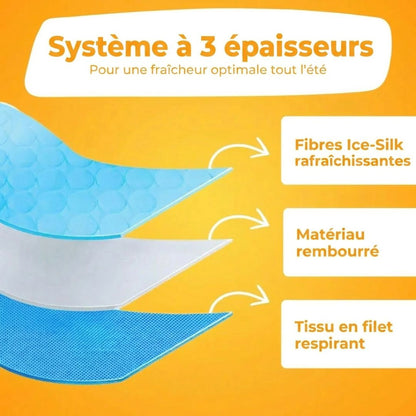 Tapis Rafraîchissant Premium pour Chien & Chat – Confort Frais Instantané