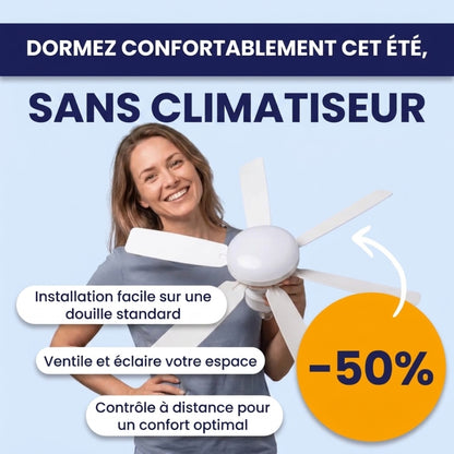 Ventilateur de Plafond