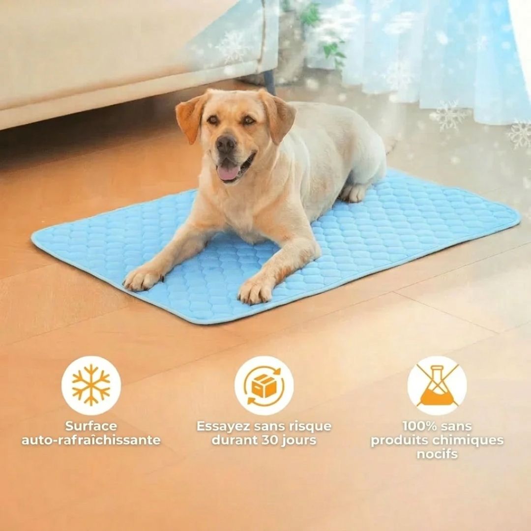 Tapis Rafraîchissant Premium pour Chien & Chat – Confort Frais Instantané
