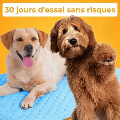 Tapis Rafraîchissant Premium pour Chien & Chat – Confort Frais Instantané