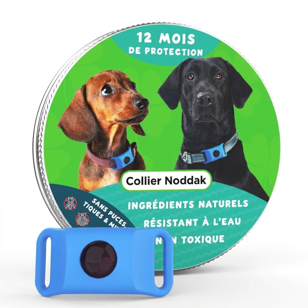 Collier Noddak Anti-Puces & Tiques 12 Mois