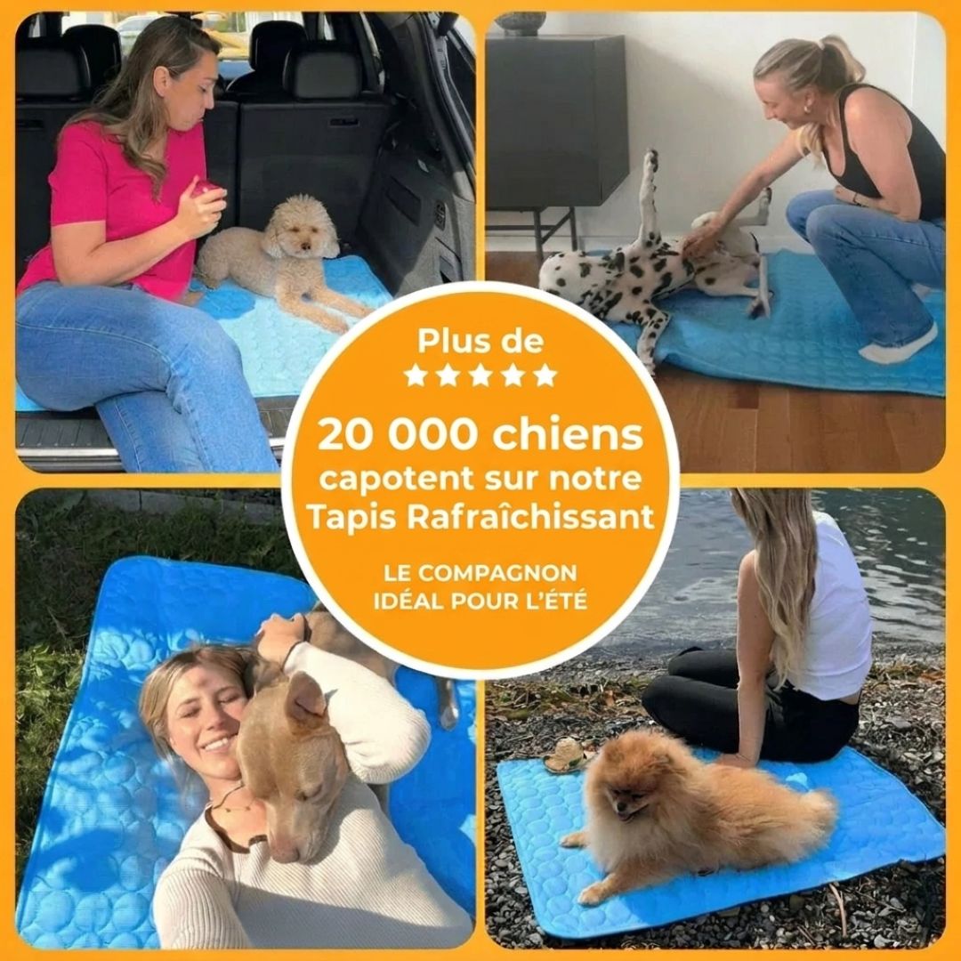 Tapis Rafraîchissant Premium pour Chien & Chat – Confort Frais Instantané
