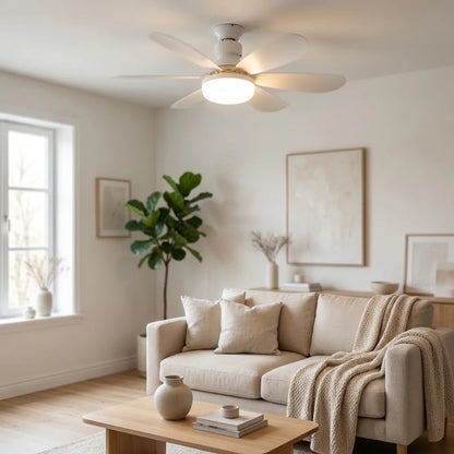 Ventilateur de Plafond