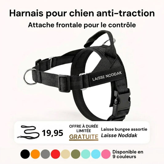 Harnais Noddak Anti-traction